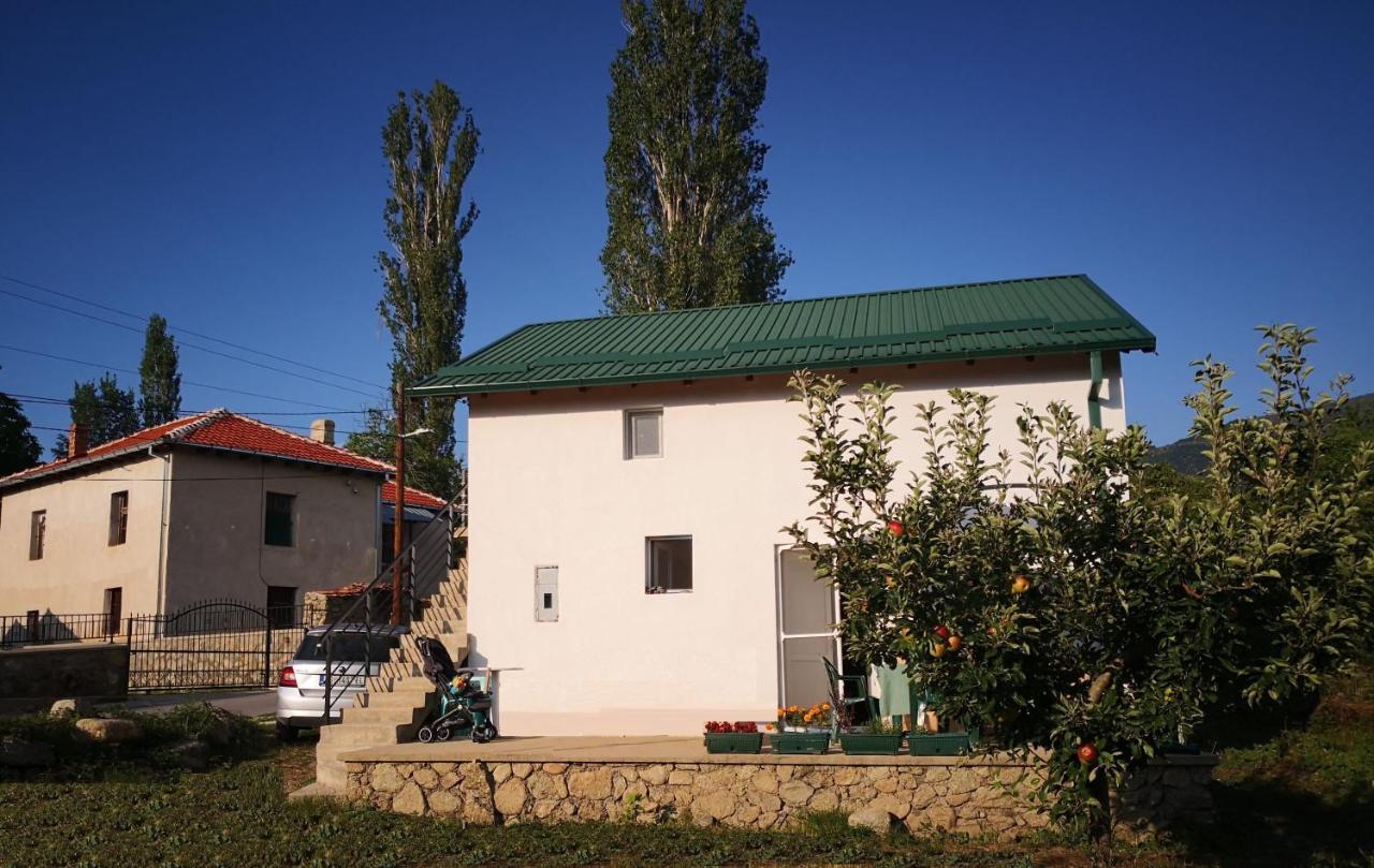 Villa Lila Dolno Dupeni Extérieur photo