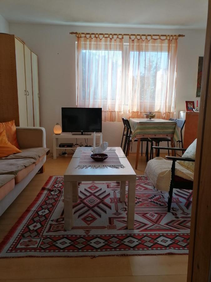 Villa Lila Dolno Dupeni Extérieur photo