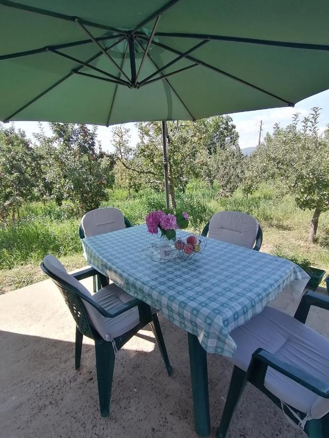 Villa Lila Dolno Dupeni Extérieur photo