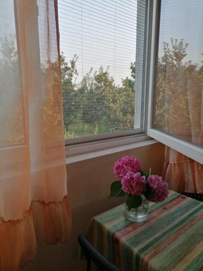 Villa Lila Dolno Dupeni Extérieur photo